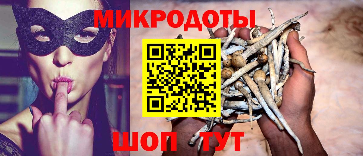 Галлюциногенные грибы Cubensis Электросталь